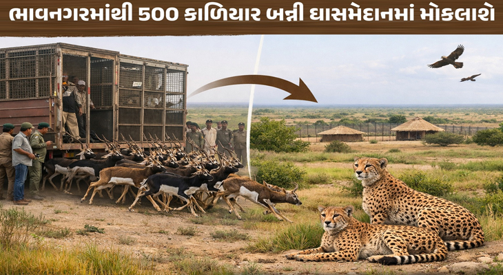 Aajkaal Daily (Desh Pardesh Ni Aajkaal)