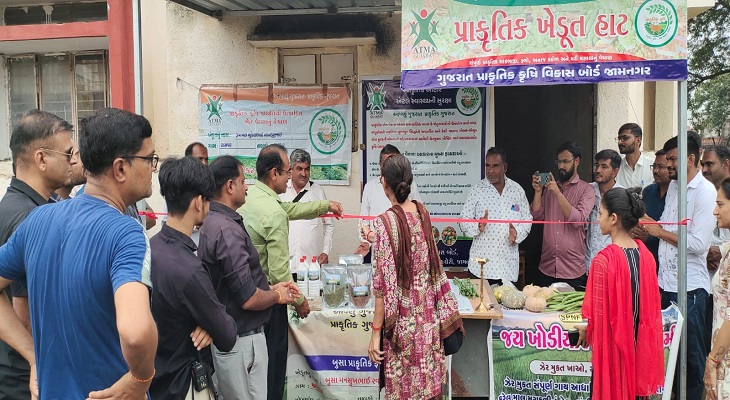 Aajkaal Daily (Desh Pardesh Ni Aajkaal)